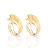 Argollas Modernas