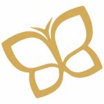 modificable kalila Banner web 1920 x 500 px 7